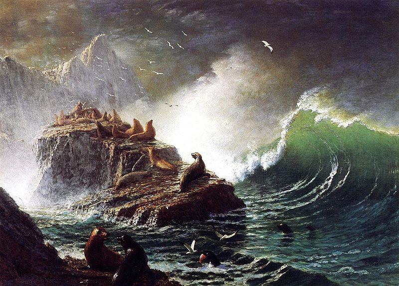 Albert Bierstadt Seals on the Rocks, Farallon Islands oil painting picture